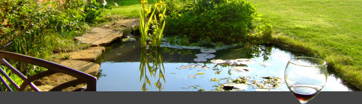 tuinhoek met vijver tuinhoek met vijver